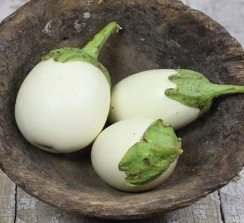 Eggplant Golden Eggs